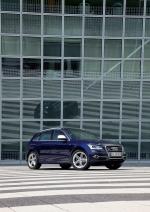 Audi SQ5 TDI 2013 года (WW)